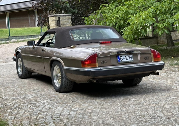 Jaguar XJS cena 65000 przebieg: 36331, rok produkcji 1990 z Augustów małe 211